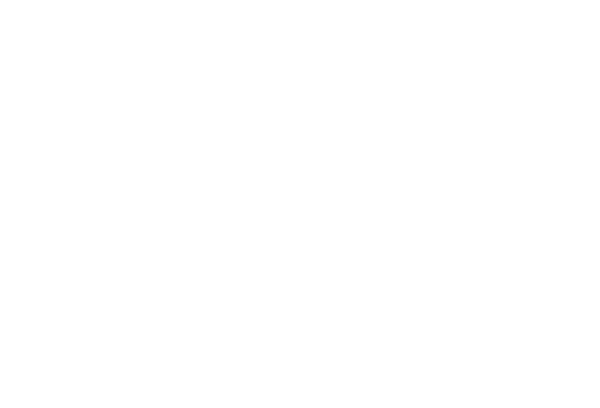 Capital One