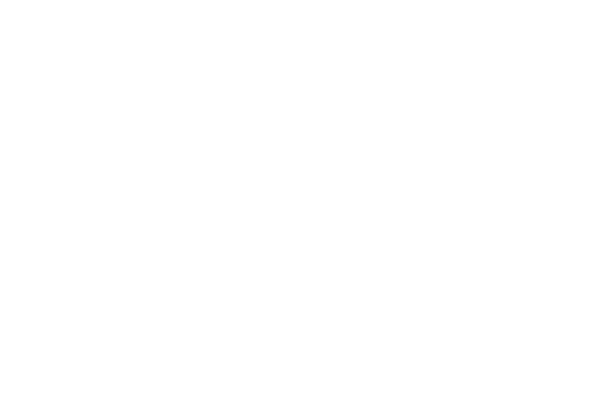 Primal Kitchen