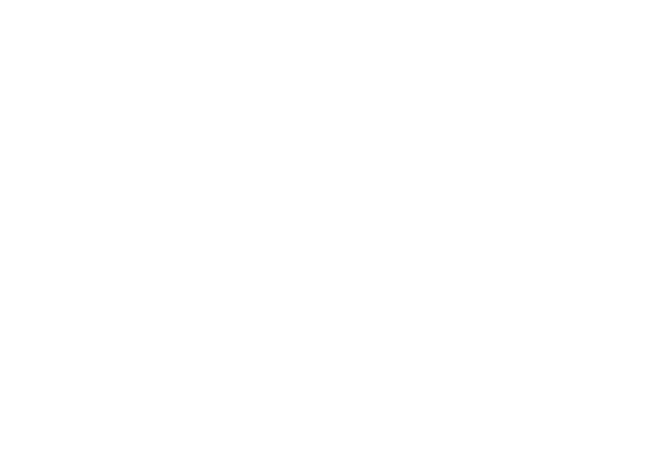 The Home Depot